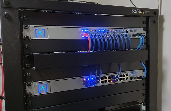 XgnS81P